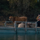 Illustration for article titled Become udder-ly enamored with Eve, the cow in Kelly Reichardts iFirst Cow/i